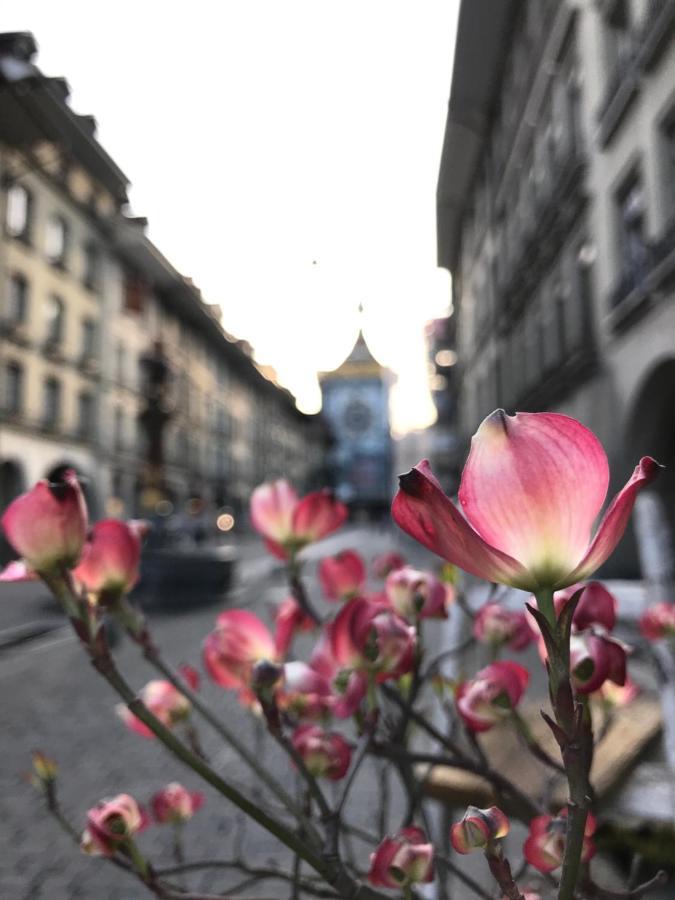 Historical, Bright & Beautiful In Old City - 3Rd Floor Bern Exteriör bild