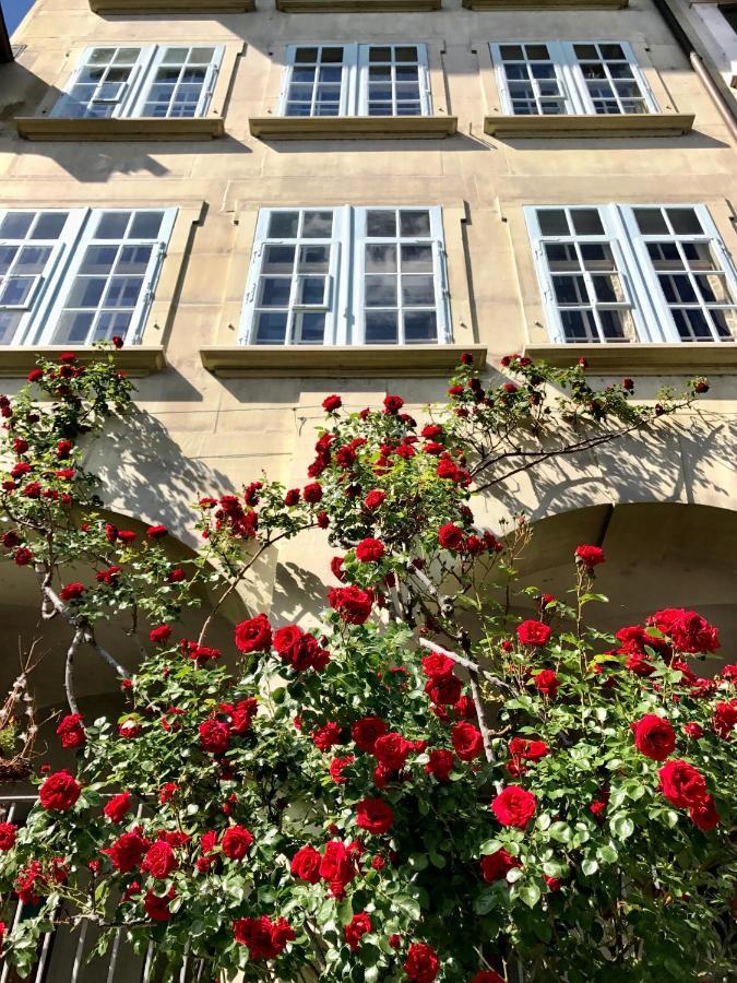 Historical, Bright & Beautiful In Old City - 3Rd Floor Bern Exteriör bild