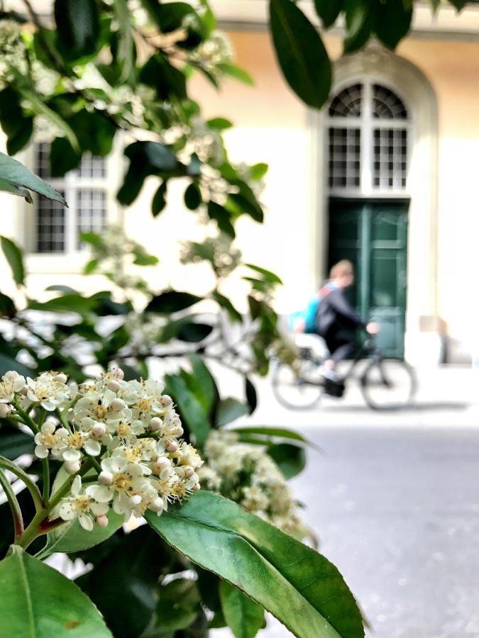 Historical, Bright & Beautiful In Old City - 3Rd Floor Bern Exteriör bild